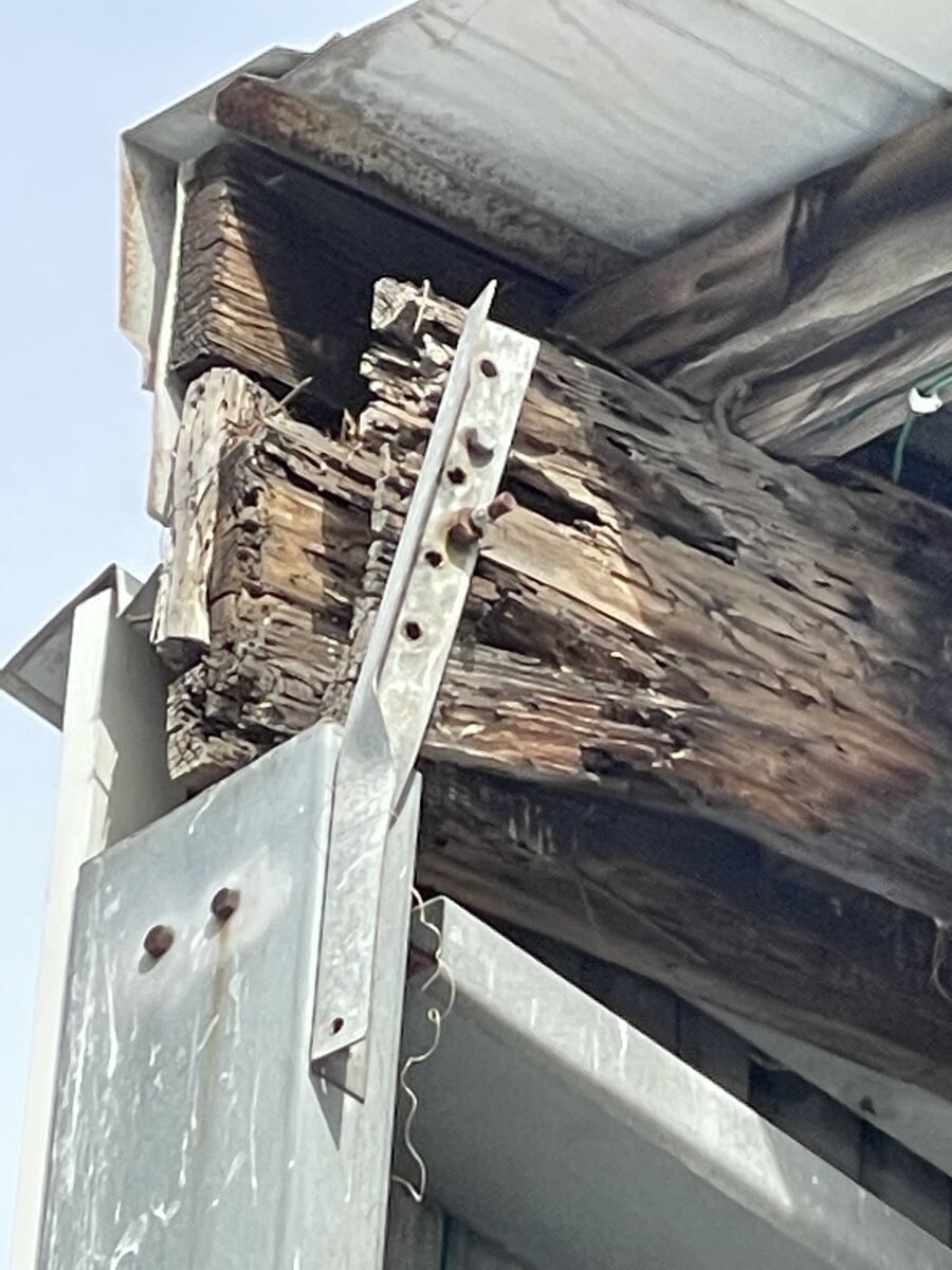 Close-up of a rotted, splintered wood roof beam end at the eave of a metal building, with the galvanized fascia and a bolted steel strap alongside it
