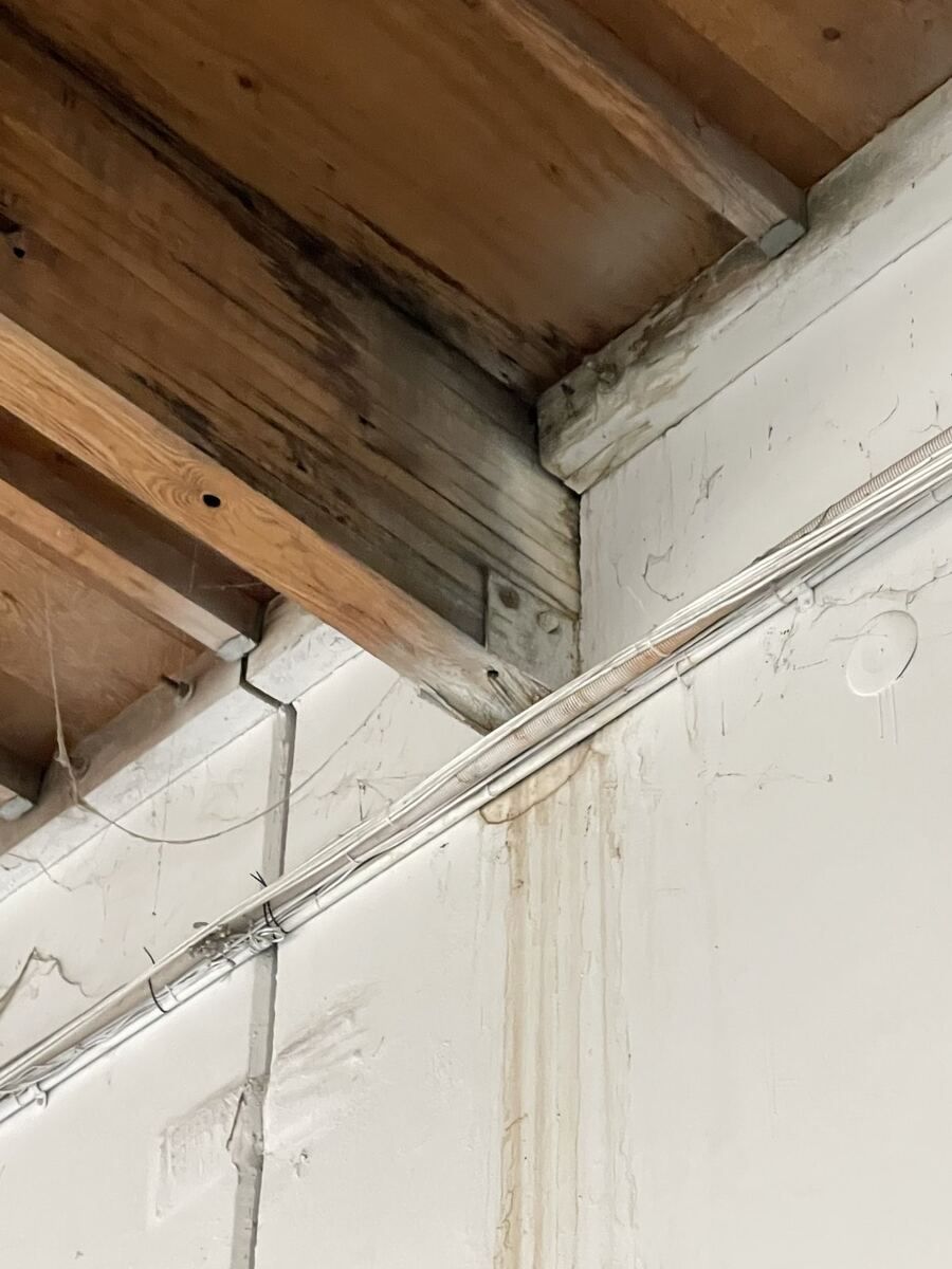Timber roof beam bearing on a wall through a steel bracket, with water staining visible on the wall below